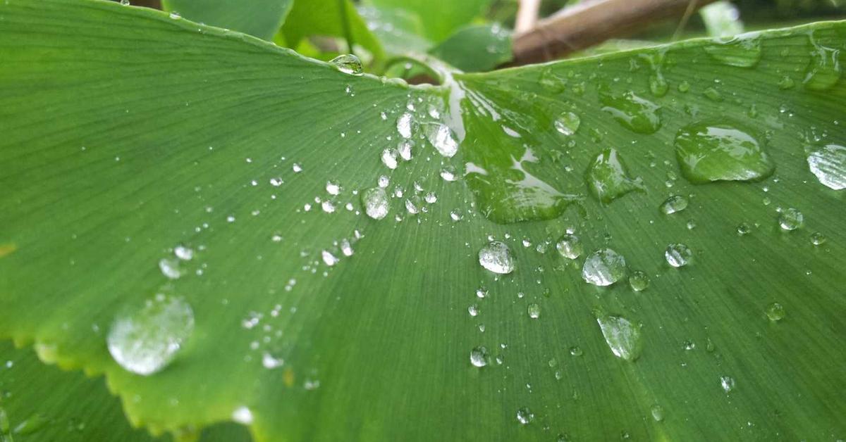 Jak Skonfigurować CI/CD dla Projektu Webowego: Kompletny Przewodnik do Automatyzacji i Szybkich Wdrożeń