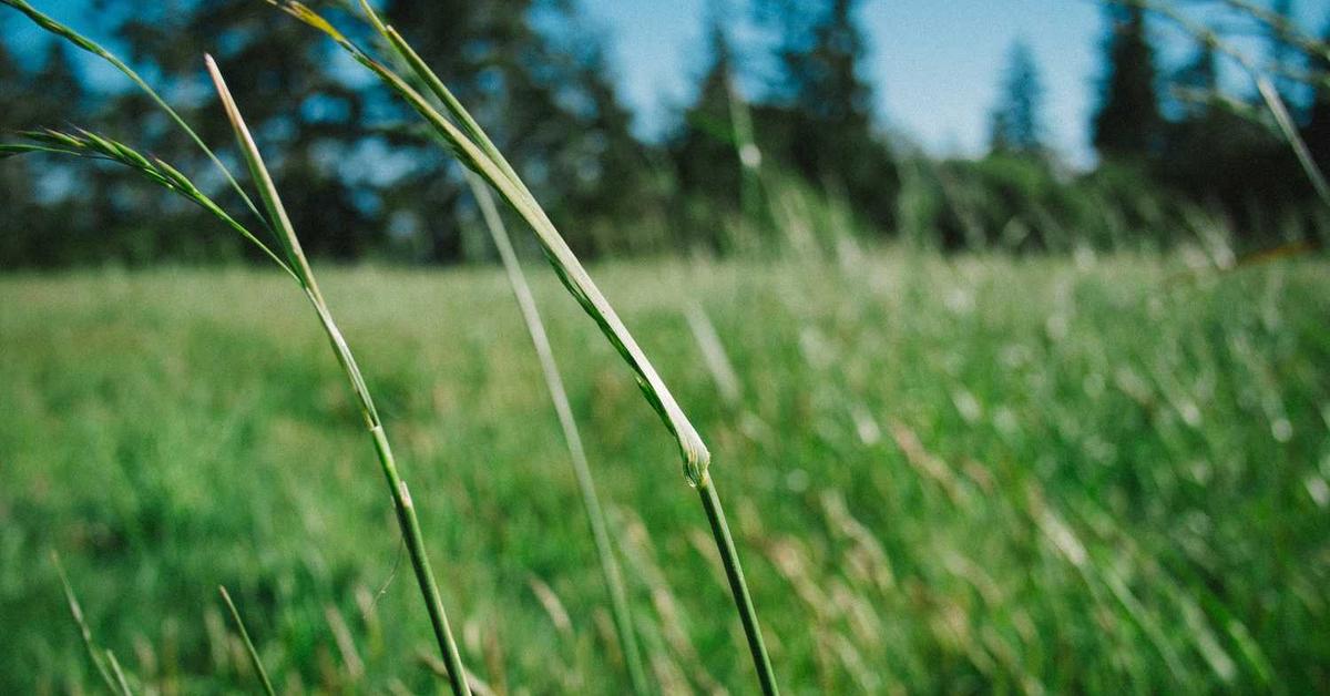 Landing Page - Co to jest i Dlaczego Jest Niezbędny Twojej Firmie? Kompleksowy Przewodnik