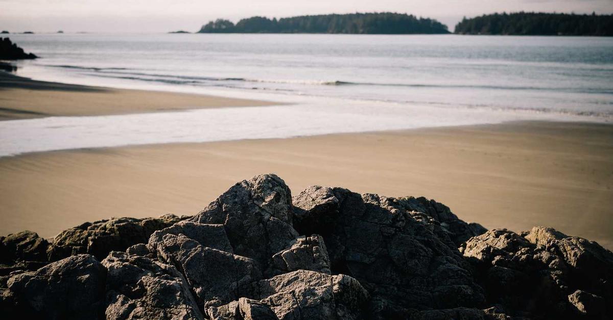 Strona Internetowa Stalowa Wola: Profesjonalne Projektowanie i Skuteczne SEO | Studio Kalmus